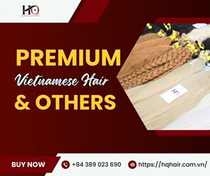 What Makes Premium Vietnamese Hair Different From Regular Human Hair Extensions?
